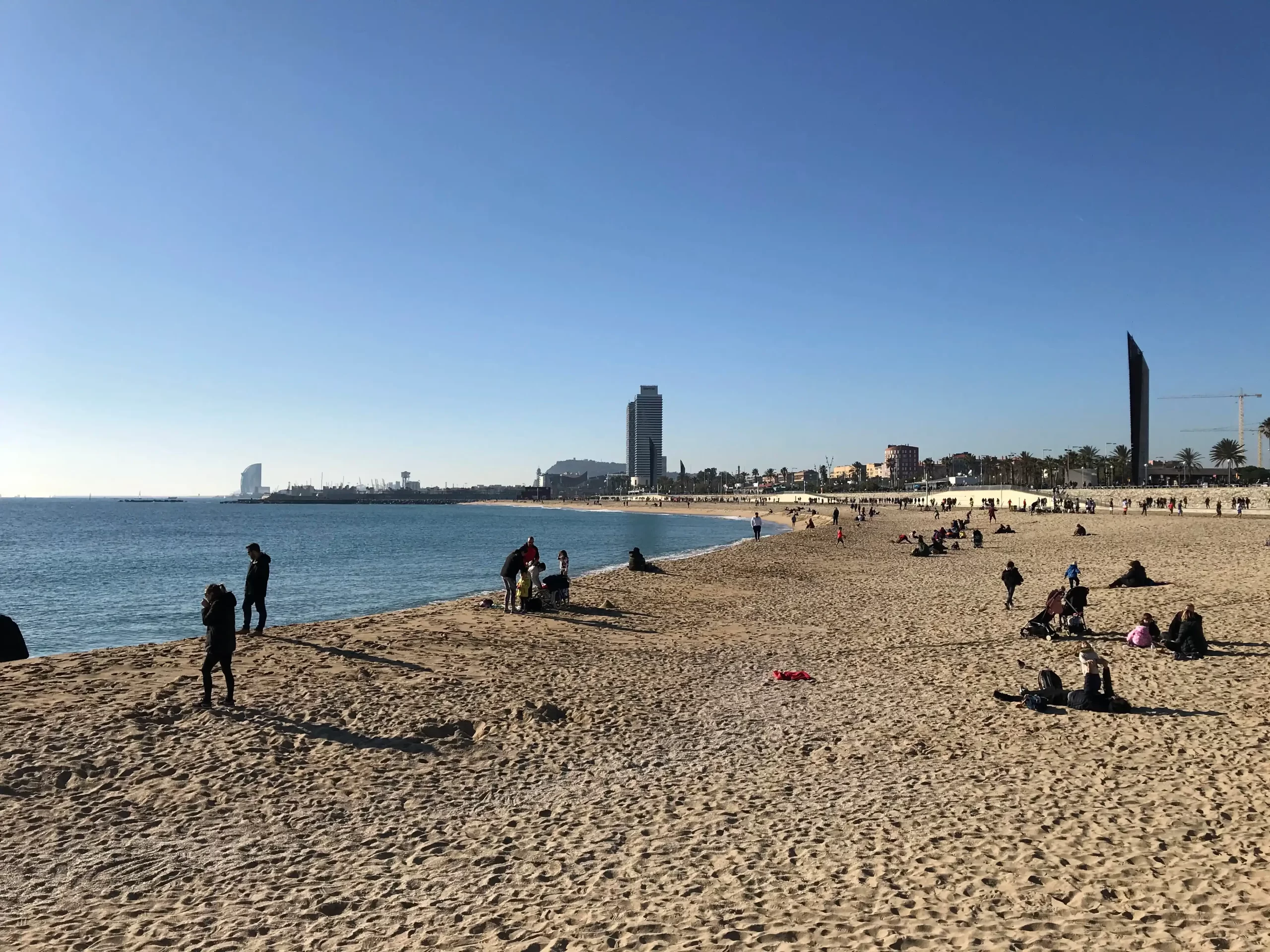 Bogatell y la Sostenibilidad: 5 Iniciativas Ecológicas en la Costa Barcelonesa