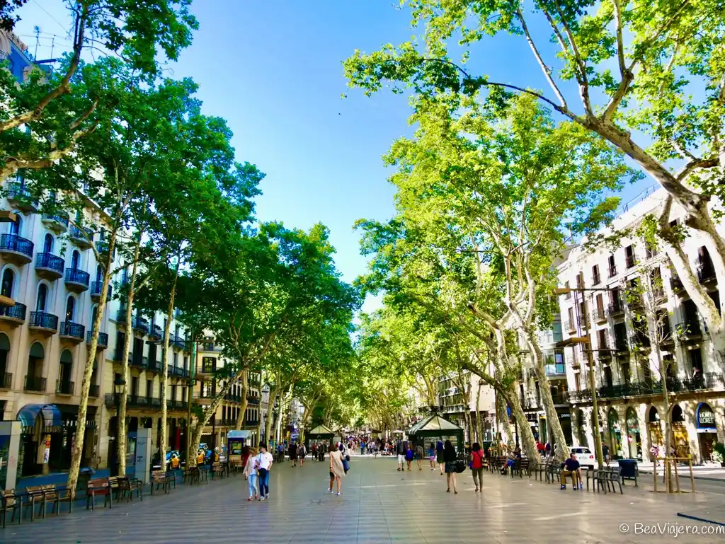 La Rambla desconocida: 5 secretos y curiosidades que te asombraran